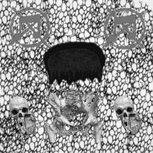 Using Drugs Don't Make You Dum, You Just Are